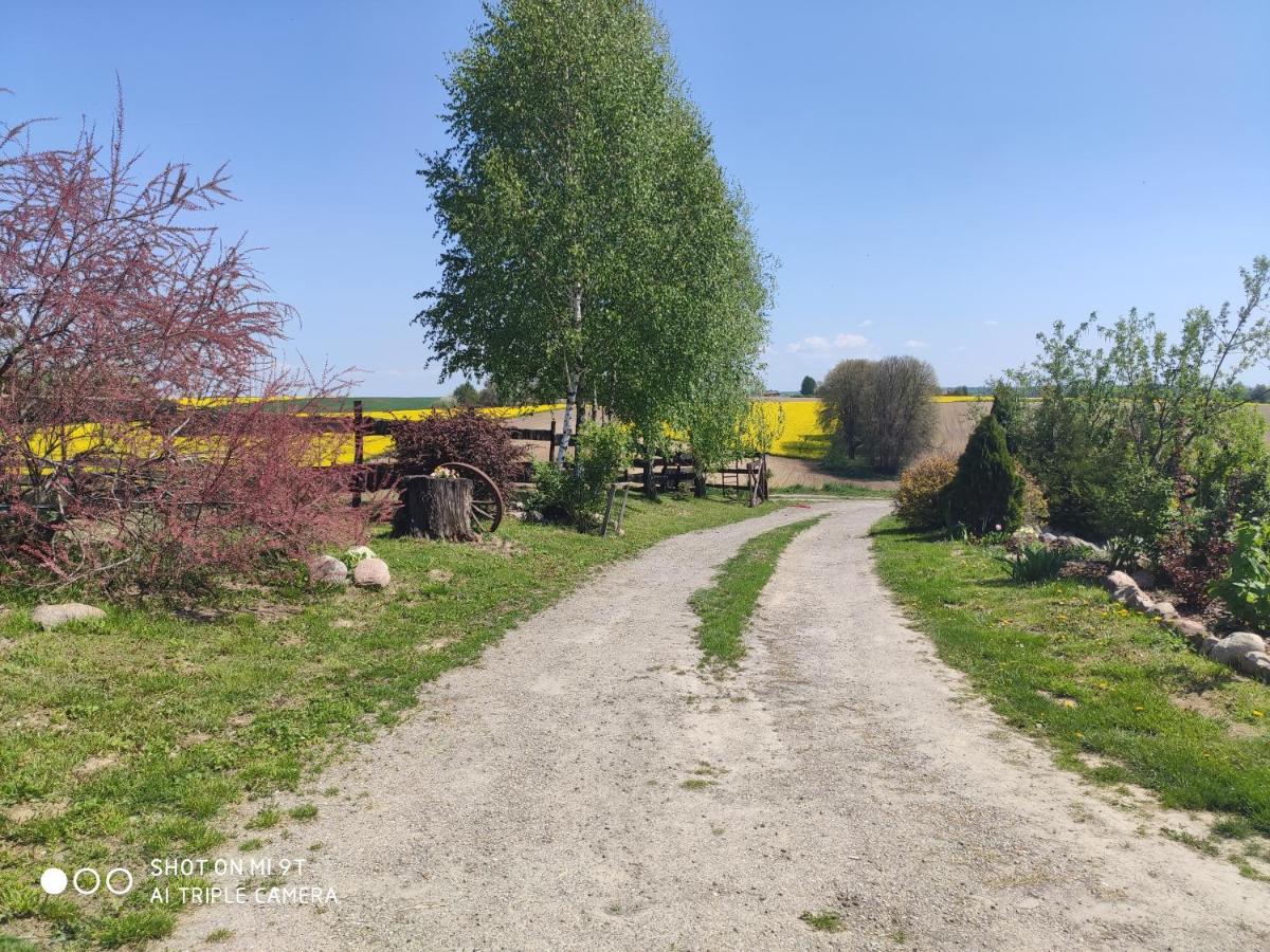 Balkanowka Krasniczyn Экстерьер фото